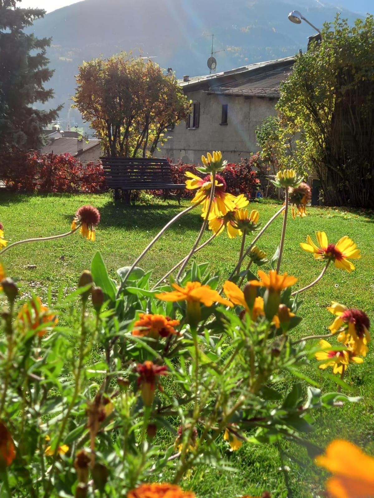 Appartamenti Via Monte Braulio 19 Bormio Luaran gambar